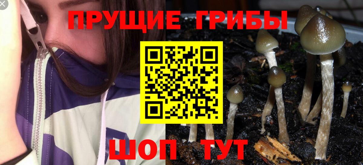 Галлюциногенные грибы прущие грибы Корсаков